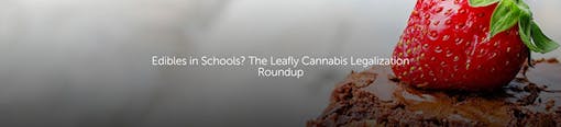 Edibles in Schools? The Leafly Cannabis Legalization Roundup