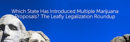 Which State Has Introduced Multiple Marijuana Proposals? The Leafly Legalization Roundup