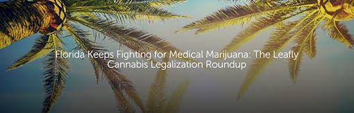 Florida Keeps Fighting for Medical Marijuana: The Leafly Cannabis Legalization Roundup