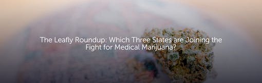 The Leafly Roundup: Which Three States are Joining the Fight for Medical Marijuana?