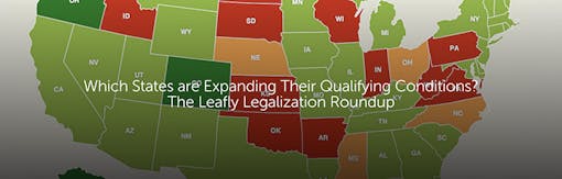 Which States are Expanding Their Qualifying Conditions? The Leafly Legalization Roundup