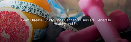 "Gum Disease" Study Finds Cannabis Users are Generally Healthy and Fit