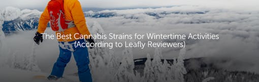 The Best Cannabis Strains for Wintertime Activities (According to Leafly Reviewers)