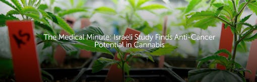 The Medical Minute: Israeli Study Finds Anti-Cancer Potential in Cannabis