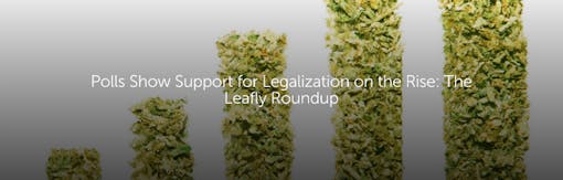 Polls Show Support for Legalization on the Rise: The Leafly Roundup