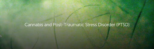 Cannabis and Post-Traumatic Stress Disorder (PTSD)