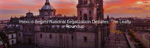 Mexico Begins National Legalization Debates: The Leafly Roundup