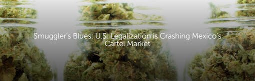 Smuggler's Blues: U.S. Legalization is Crashing Mexico's Cartel Market