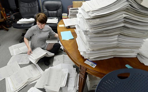 Staff and volunteers for the legalization campaign are sort petitions at an office in Falmouth, Maine. Photo via Getty