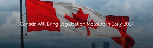 Canada Will Bring Legalization Measure in Early 2017