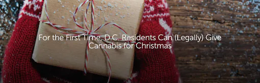 For the First Time, DC Residents Can (Legally) Give Cannabis for Christmas