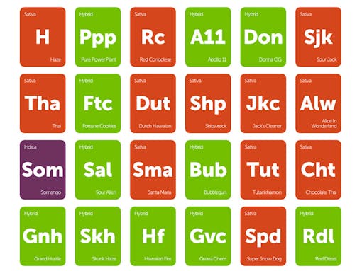 Cannabis strains that help motivate your mind