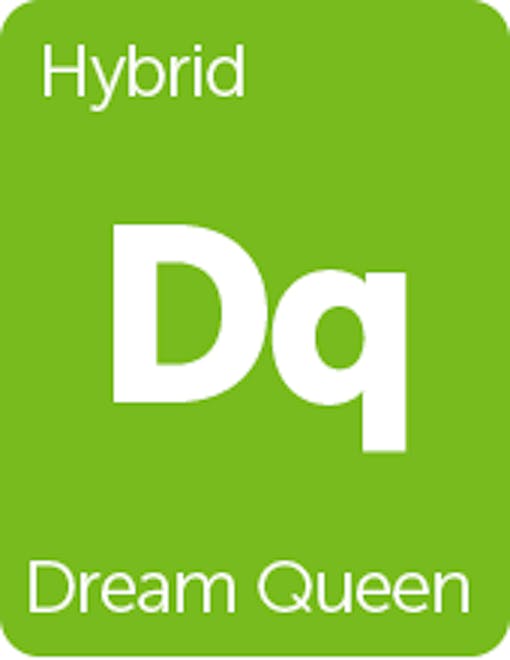 Leafly Dream Queen cannabis strain tile