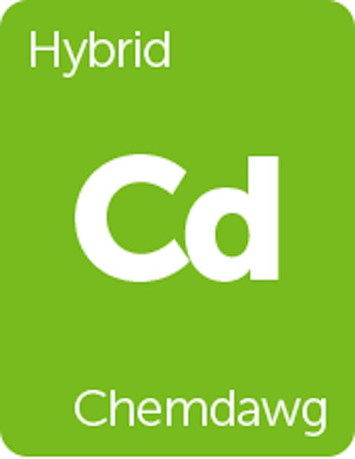 Leafly Chemdawg cannabis strain tile