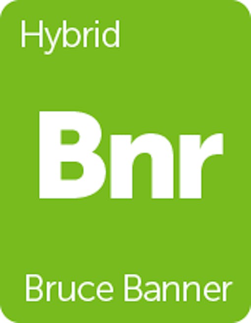 Leafly Bruce Banner cannabis strain tile