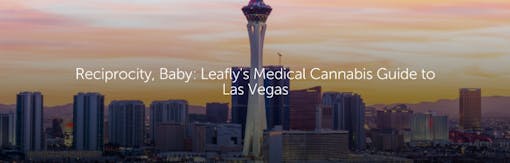 Reciprocity, Baby: Leafly's Medical Cannabis Guide to Las Vegas