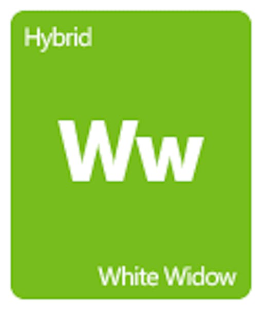 Leafly White Widow cannabis strain tile