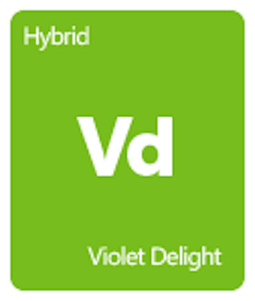 Leafly Violet Delight cannabis strain tile