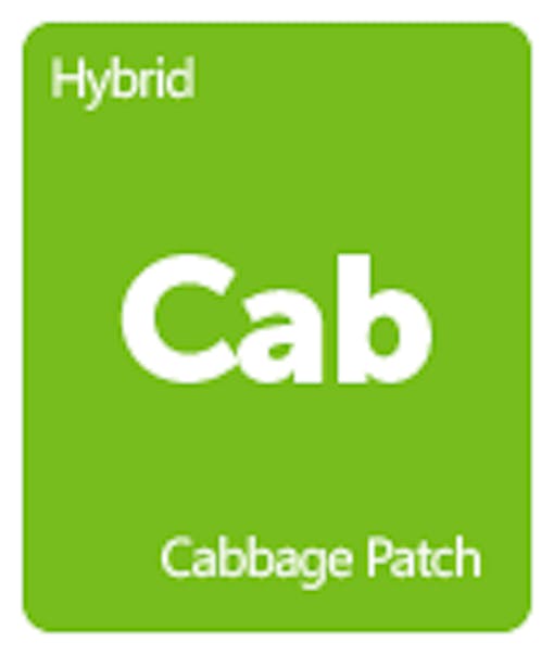 Leafly Cabbage Patch cannabis strain tile