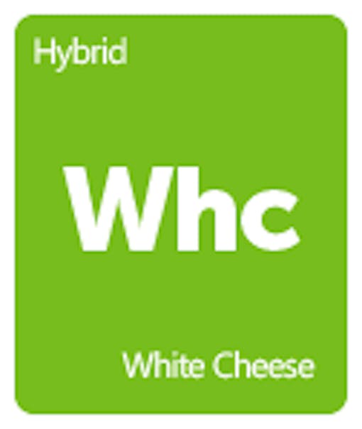 Leafly White Cheese cannabis strain tile