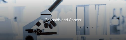 Cannabis and Cancer