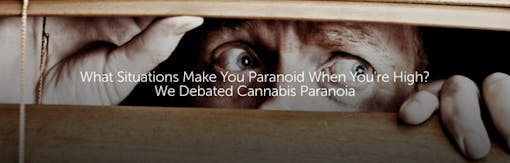 What Situations Make You Paranoid When You're High? We Debated Cannabis Paranoia
