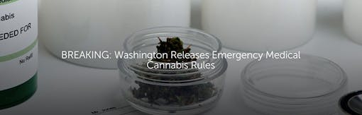 Washington Releases Emergency Medical Cannabis Rules