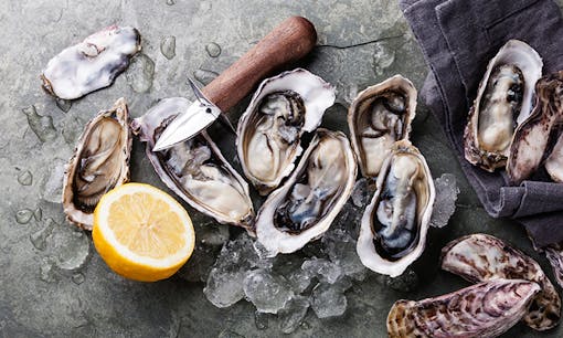 Oysters on stone table