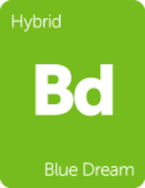 Leafly "Blue Dream" hybrid cannabis strain tile