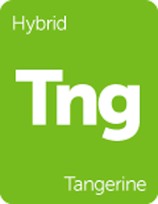 Leafly "Tangerine" hybrid cannabis strain tile