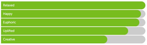 Leafly "Dutch Treat" hybrid cannabis effects bar