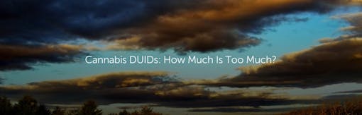 Cannabis DUIDs: How Much Is Too Much?
