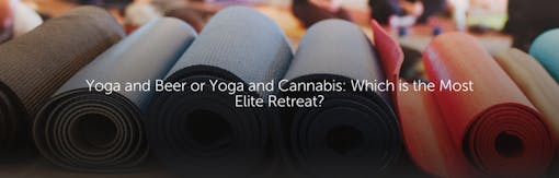 Yoga and Beer or Yoga and Cannabis: Which is the Most Elite Retreat?