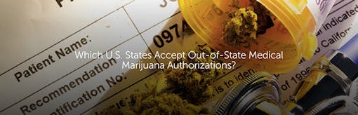 Which U.S. States Accept Out-of-State Medical Marijuana Authorizations?