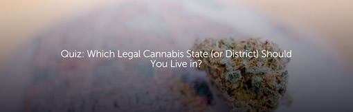 Quiz: Which Legal Cannabis State (or District) Should You Live In?