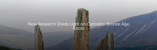 New Research Sheds Light on Cannabis' Bronze Age Roots
