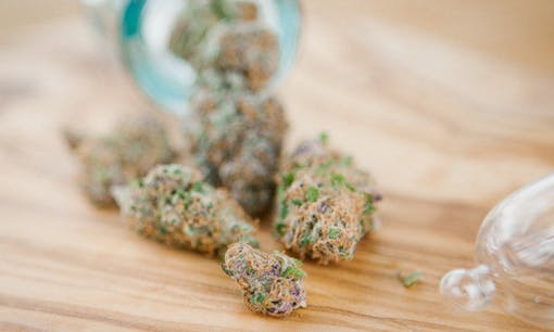 Cannabis flowers displayed in front of a jar on a table