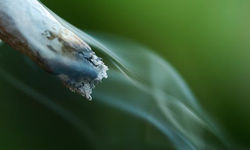 Cannabis joint billowing smoke