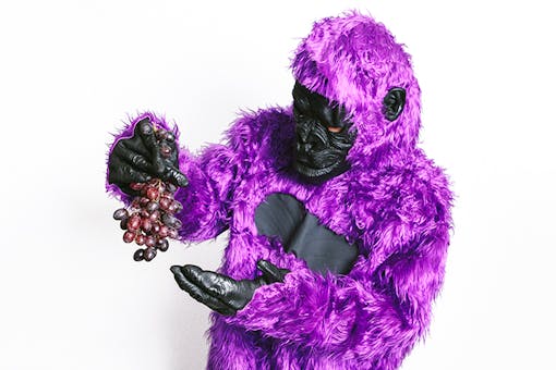 Person holding grapes and wearing a purple ape costume