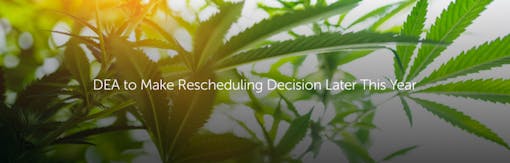 DEA to Make Rescheduling Decision Later This Year