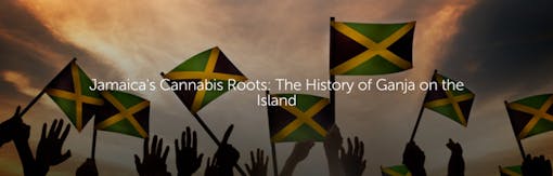 Jamaica's Cannabis Roots: The History of Ganja on the Island