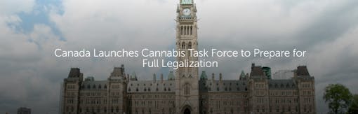 Canada Launches Cannabis Task Force to Prepare for Full Legalization