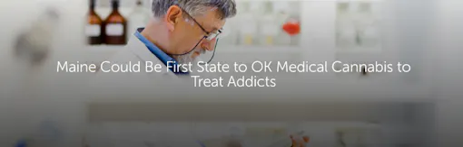 Maine Could Be First State to OK Medical Cannabis to Treat Addicts