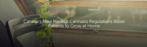 Canada's New Medical Cannabis Regulations Allow Patients to Grow at Home