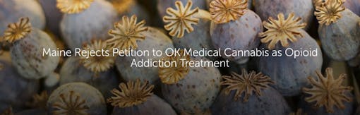 Maine Rejects Petition to OK Medical Cannabis as Opioid Addiction Treatment