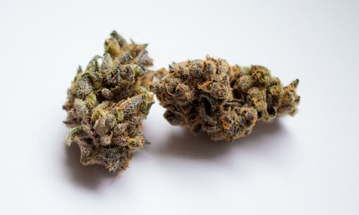 Leafly Granddaddy Purple - GDP Cannabis Strain