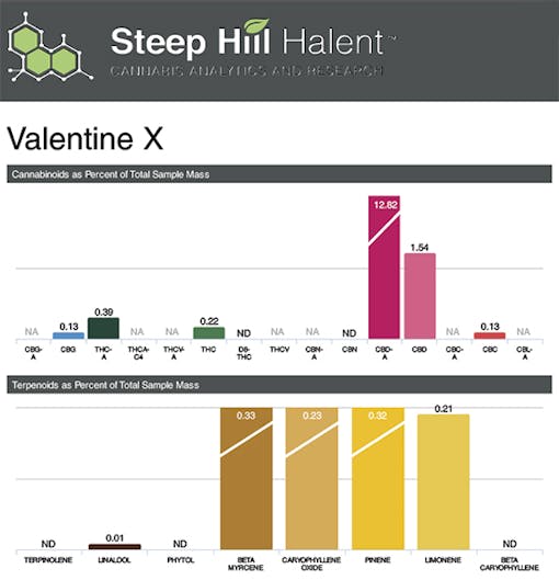 Valentine X - Test Results from Steep Hill