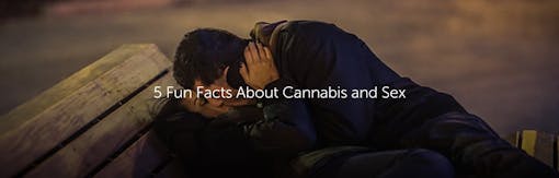 5 Fun Facts About Cannabis and Sex