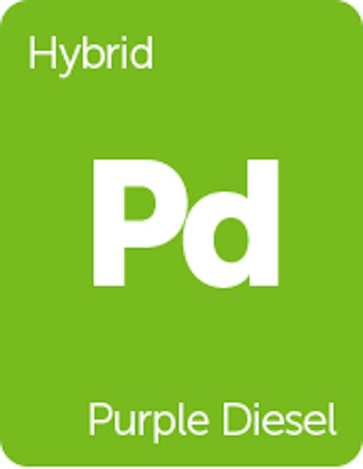 Leafly Purple Diesel cannabis strain tile