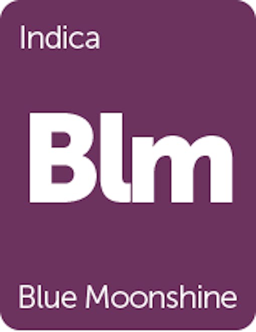 Leafly Blue Moonshine cannabis strain tile